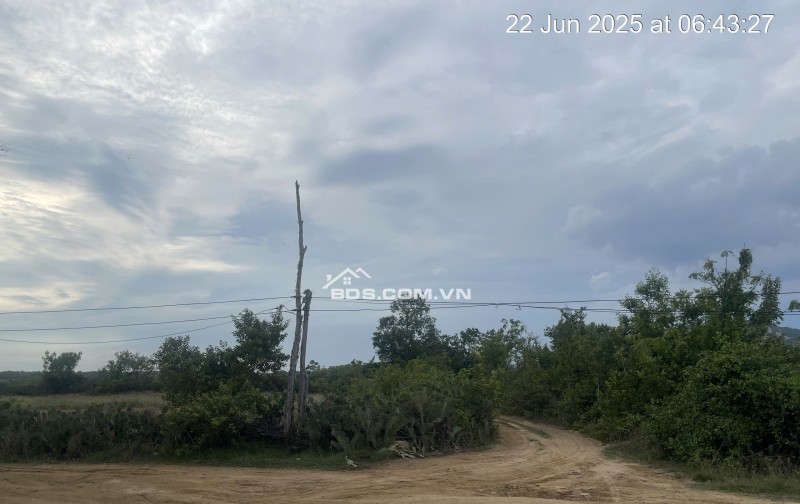 Kẹt tiền bán 6640m2 giá 3,2 tỷ, sổ đỏ, gần khu du lịch Mũi Dinh, Ninh Phước, Ninh Thuận