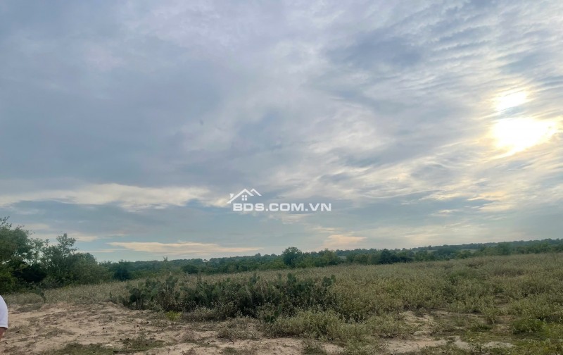 Kẹt tiền bán 6640m2 giá 3,2 tỷ, sổ đỏ, gần khu du lịch Mũi Dinh, Ninh Phước, Ninh Thuận