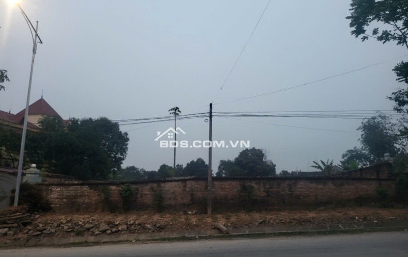 Chính chủ bán 1154m2  đất đầu tư, đường Lạc Hồng, Thì trấn Lâm Thao, Phú Thọ