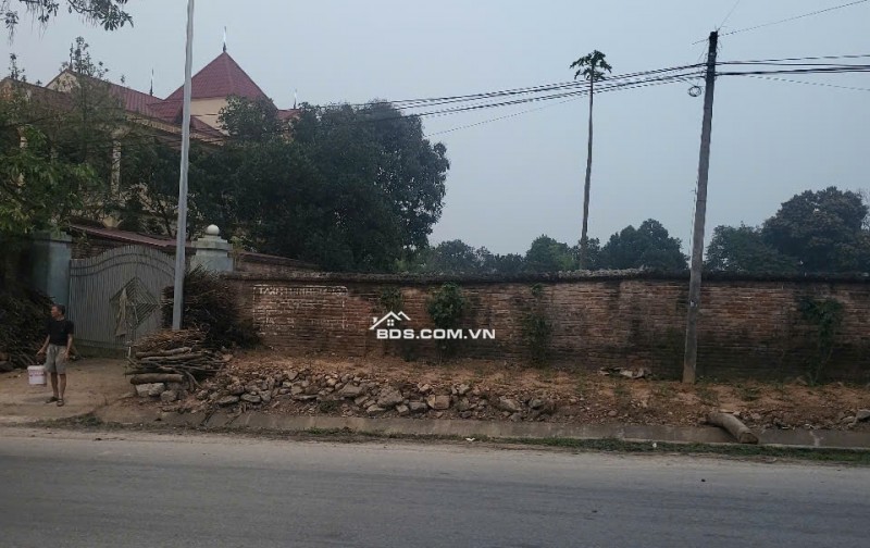 Chính chủ Bán đất  Đường Lạc Hồng, thị trấn Lâm Thao, Phú Thọ