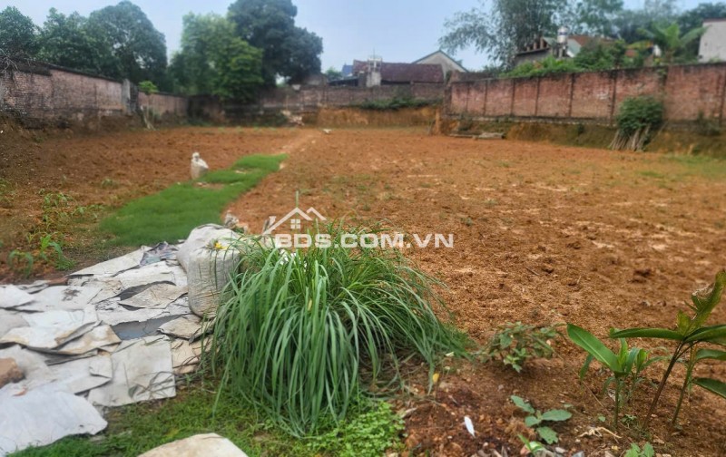 Chính chủ bán 1154m2  đất đầu tư, đường Lạc Hồng, Thì trấn Lâm Thao, Phú Thọ