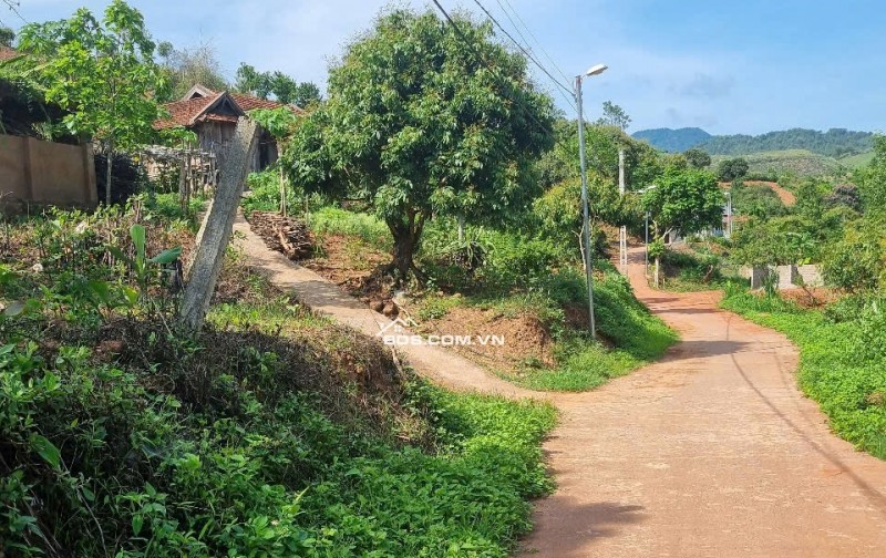BÁN ĐẤT DU LỊCH MỘC CHÂU 1477M²_400M² THỔ CƯ_GIÁ CHỈ 2 TỶ