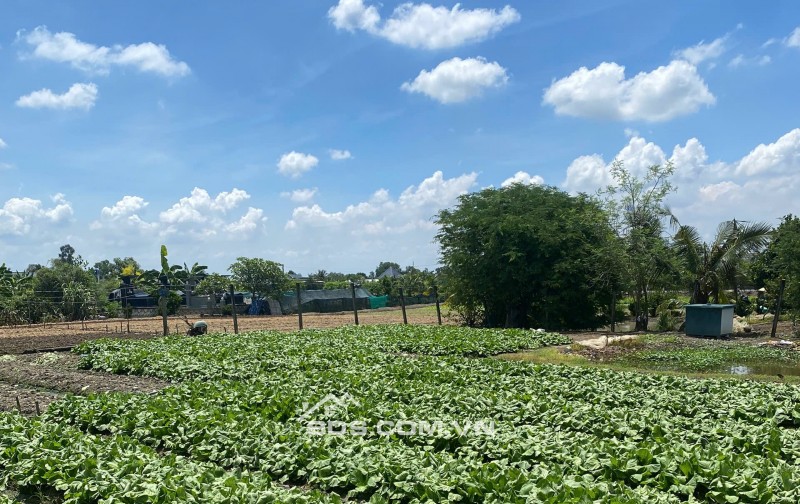 Bán 1000m2 thổ vườn Lộc Trung giá 3,5 tỷ thương lượng nhẹ