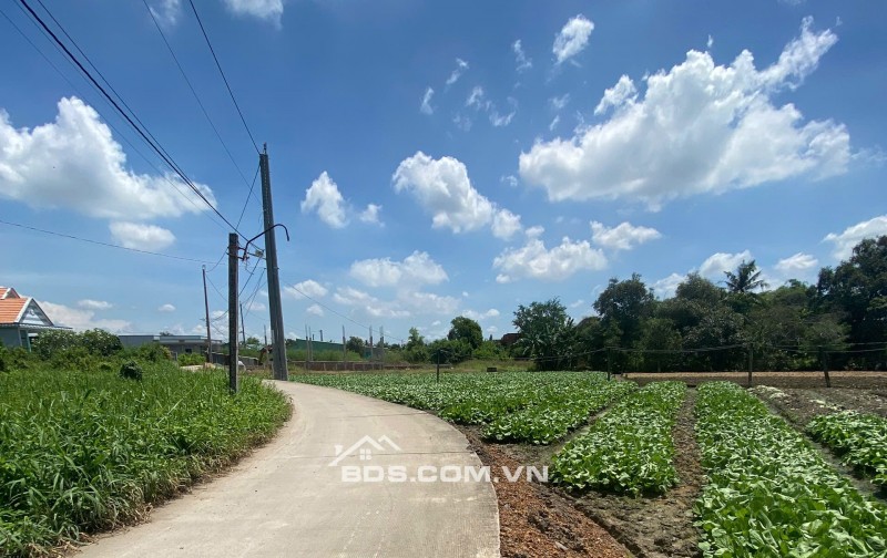 Bán 1000m2 thổ vườn Lộc Trung giá 3,5 tỷ thương lượng nhẹ