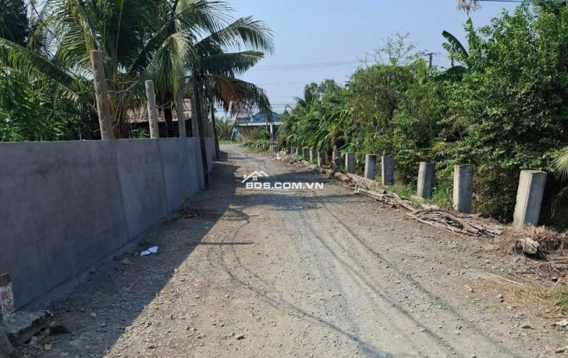 Chính chủ bán miếng đất tại Xã Phước Vân, Huyện Cần Đước, Tỉnh Long An