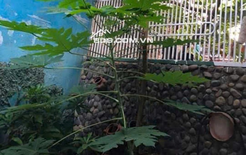 BÁN GẤP NHÀ 1 TRỆT 1 LẦU 1 SÂN THƯỢNG - MẶT TIỀN HUỲNH TỊNH CỦA - PHƯỜNG PHƯỚC LONG