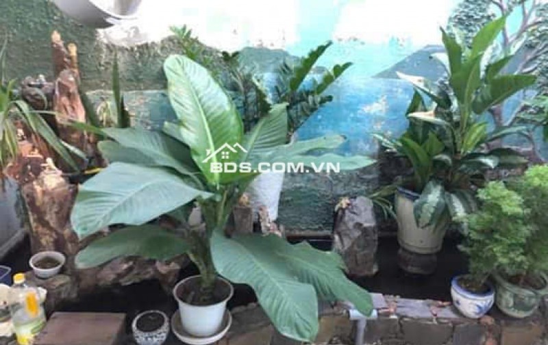 BÁN GẤP NHÀ 1 TRỆT 1 LẦU 1 SÂN THƯỢNG - MẶT TIỀN HUỲNH TỊNH CỦA - PHƯỜNG PHƯỚC LONG