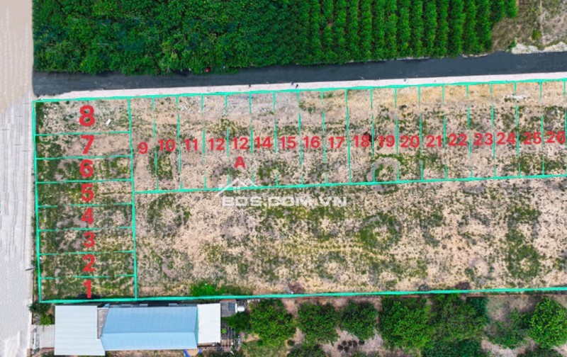 Bán lô đất 100m² tại Bàu Cạn, Long Thành – Gần chợ, gần siêu thị, sẵn sổ, chỉ 1,5 tỷ!
