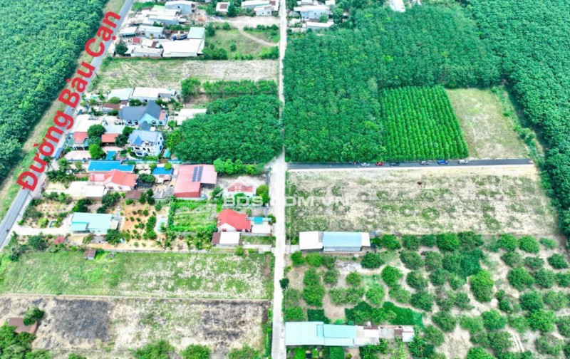 Bán lô đất 100m² tại Bàu Cạn, Long Thành – Gần chợ, gần siêu thị, sẵn sổ, chỉ 1,5 tỷ!