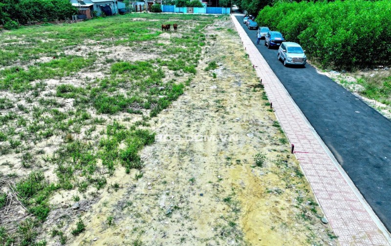 Bán lô đất 100m² tại Bàu Cạn, Long Thành – Gần chợ, gần siêu thị, sẵn sổ, chỉ 1,5 tỷ!