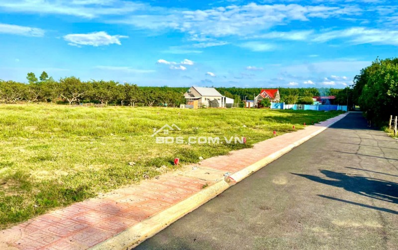  Bán lô đất 100m² cách sân bay Long Thành 1km  – Gần chợ, gần siêu thị, sẵn sổ, chỉ 1,5 tỷ!