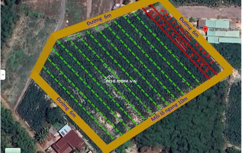 Bán trang trại khu nghỉ dưỡng tại Cầu Khởi, Dương Minh Châu, Tây Ninh Diện tích 1000m2 – giá 800 triệu vnd