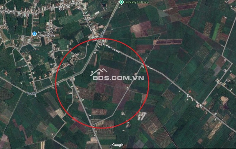 Bán đất Cầu Khởi, Dương Minh Châu, Tây Ninh, giá chỉ 2,15 triệu/m2 với diện tích 13.000 m2