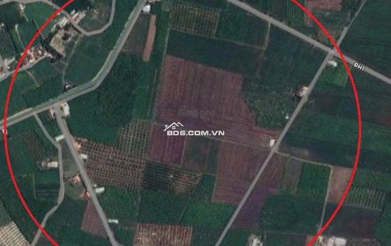 Bán đất Cầu Khởi, Dương Minh Châu, Tây Ninh, giá chỉ 2,15 triệu/m2 với diện tích 13.000 m2