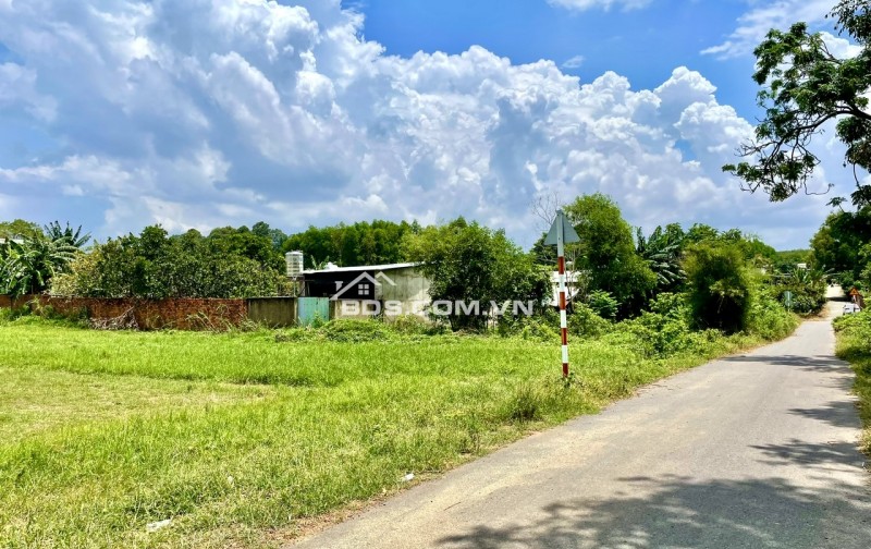 Bán Đất Nền 5x51m – Cách Sân Bay Long Thành 6km – Tiềm Năng Gấp Đôi