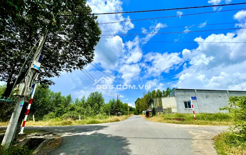Đất Vàng Tân Hiệp” – Vị Trí Sinh Lời Cạnh Sân Bay Long Thành