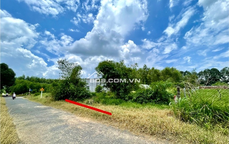 “Đất Vàng Tân Hiệp” – Vị Trí Sinh Lời Cạnh Sân Bay Long Thành
