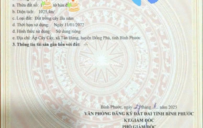 tân hưng đồng phú cũ 0929.285.375