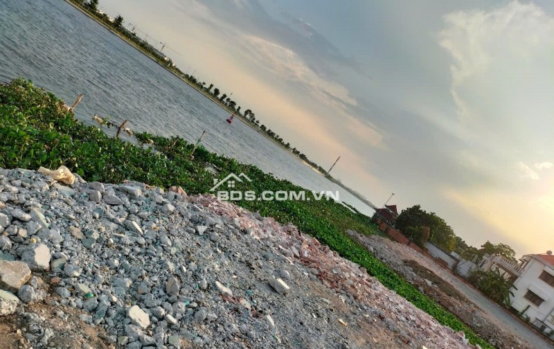 CHO THUÊ ĐẤT TRỒNG RAU MUỐNG – BÌNH MỸ, CỦ CHI – GIÁ RẺ