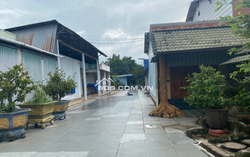 BÁN NHÀ CHÍNH CHỦ TẠI 142A LÝ THƯỜNG KIỆT, LAGI, BÌNH THUẬN