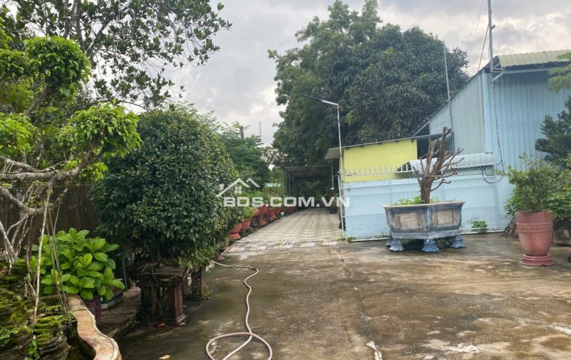 BÁN NHÀ CHÍNH CHỦ TẠI 142A LÝ THƯỜNG KIỆT, LAGI, BÌNH THUẬN