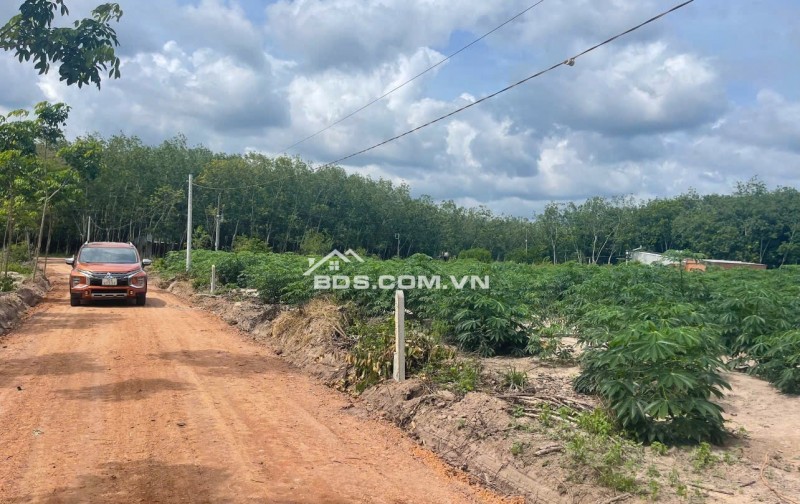 BÁN ĐẤT MINH THẠNH – DẦU TIẾNG - TP.HCM GIÁ CHỈ 4XX TRIỆU