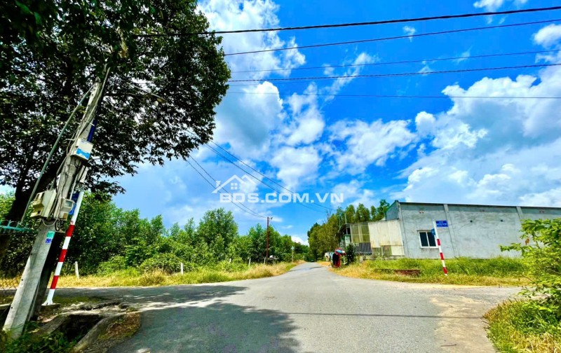 Sở Hữu Đất Lớn Gần KCN – Chờ Hạ Tầng, Giá Trị Tăng Theo Ngày