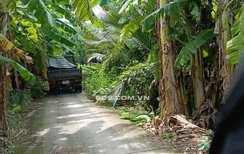 Bán đất mặt tiền đường DAL 2.5M - Bên hông bờ Kênh