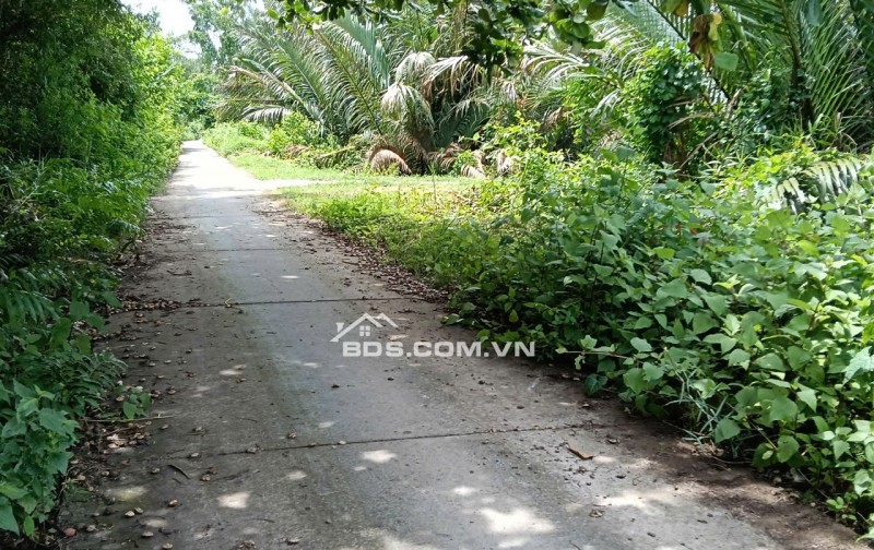 Bán đất mặt tiền đường DAL 2.5M - Bên hông bờ Kênh