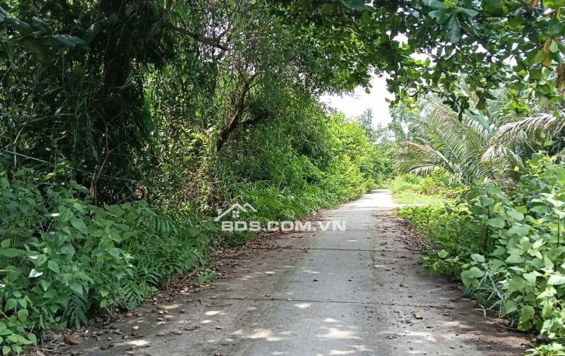 Bán đất mặt tiền đường DAL 2.5M - Bên hông bờ Kênh