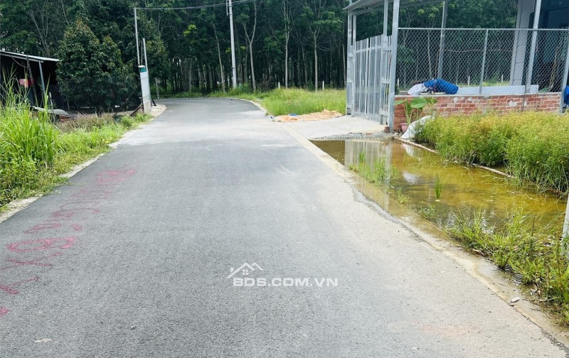 ĐẤT NGỘP - GIÁ CÔNG NHÂN