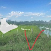 Chính Chủ Bán 177.1m2 Đất Mặt Tiền Bê Tông Chùa Pháp Tuyền, Đức Hòa Thượng, Huyện Đức Hòa, Long An