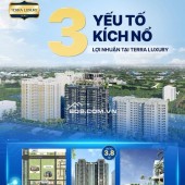  TERRA LUXURY – BẢN LĨNH KIẾN TẠO LỢI NHUẬN BỀN VỮNG 