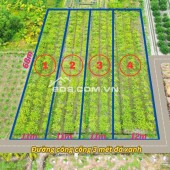 BÁN  740m² đất vườn Ấp 1, Bình Đức chuyển full thổ cư