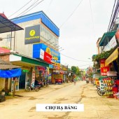 Đất nền Tân Xã, sát khu đấu giá, trường FPT, trường DHQG