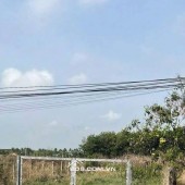  CƠ HỘI SỞ HỮU ĐẤT MẶT TIỀN GIÁ TỐT – CHỈ VỚI 100 TRIỆU 