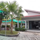 BIỆT THỰ VƯỜN MÁI THÁI MT ĐỖ ĐĂNG TUYỂN, CỦ CHI – NỘI THẤT GỖ – CHỈ 16.5 TỶ