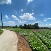 Bán 1000m2 thổ vườn Lộc Trung giá 3,5 tỷ thương lượng nhẹ