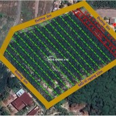 Bán trang trại khu nghỉ dưỡng tại Cầu Khởi, Dương Minh Châu, Tây Ninh Diện tích 1000m2 – giá 800 triệu vnd
