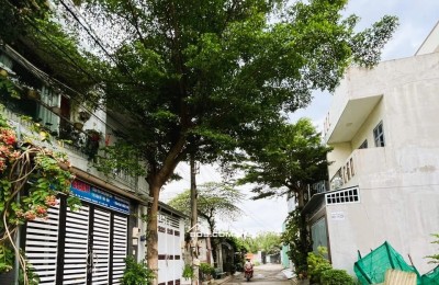 BÁN ĐẤT, 96m2 (7 x 15.5m), KHU PHÂN LÔ, HẺM 110 LÒ LU, TRƯỜNG THẠNH, CHỈ 3.6 TỶ