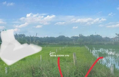 Chính Chủ Bán 177.1m2 Đất Mặt Tiền Bê Tông Chùa Pháp Tuyền, Đức Hòa Thượng, Huyện Đức Hòa, Long An