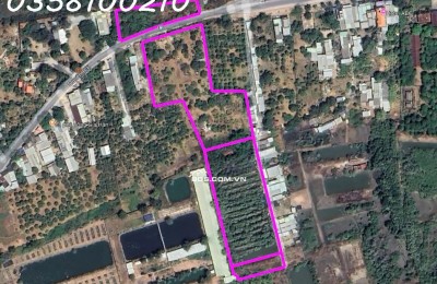 Bán đất mặt tiền đường Duyên Hải, xã Cần Giờ,TpHCM, DT 3 miếng đất 17.428,2 m2, Giá đầu tư