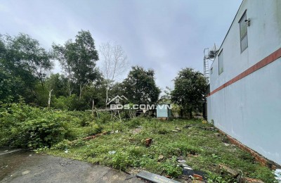 Bán cặp nền sát trung tâm Đặc Khu Phú Quốc, thổ cư, sổ hiện đường