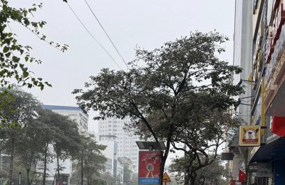 GIẢM NGAY 5 TỶ TÒA NHÀ VĂN PHÒNG MẶT PHỐ VIP QUẬN BA ĐÌNH – VỈA HÈ ĐÁ BÓNG