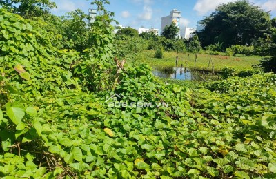 Chính Chủ Bán Đất 2 Mặt Tiền Vườn Cây Lâu Năm Tại Phường Châu Phú B, TP Châu Đốc, An Giang.