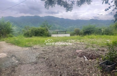 Bán đất làm trang trại, nhà vườn tại bản tà lèng ,xã Thanh Minh ,tp Điện Biên Phủ