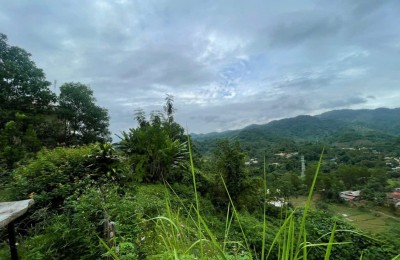 Bán đất cho kho bãi
