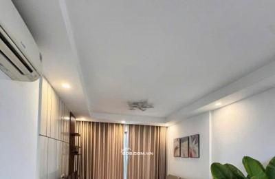 Chung cư Cao Cấp Botanica, Hồng Hà, Tân Bình: 81m2, 2p ngủ, NTCC, 17tr/th
