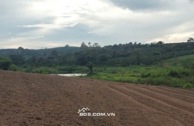 Cần cho thuê 7000m2 đất tại thôn Thiện Chí xã Ninh Gia - Đức Trọng