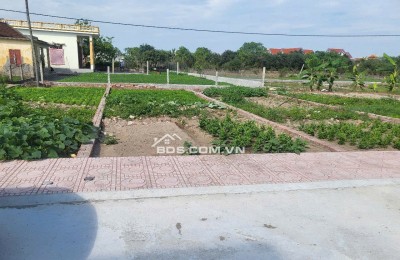  SỐC! 14 Lô Đất Giá Rẻ Nhất Quất Lâm – Vị Trí Đẹp, Sổ SẴN Sang tên